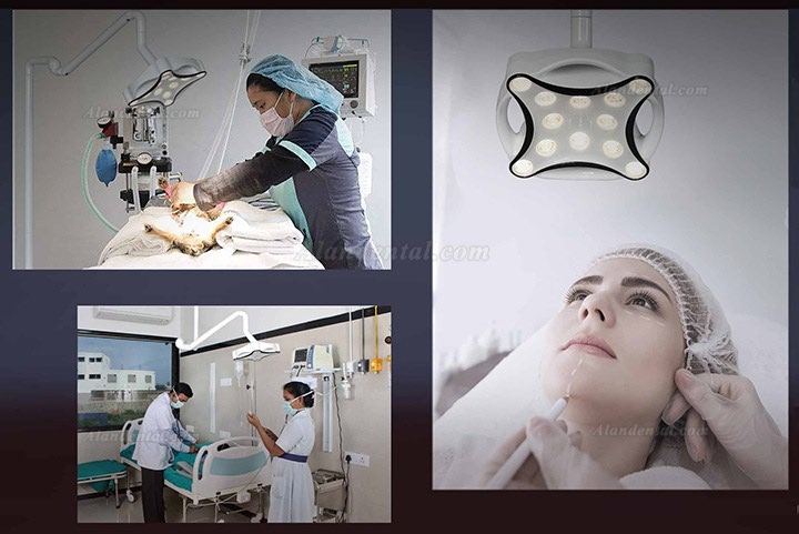 Micare JD1700L LED Dental Surgical Lamp Shadowless Light Operation Lamp Ceiling Mounted